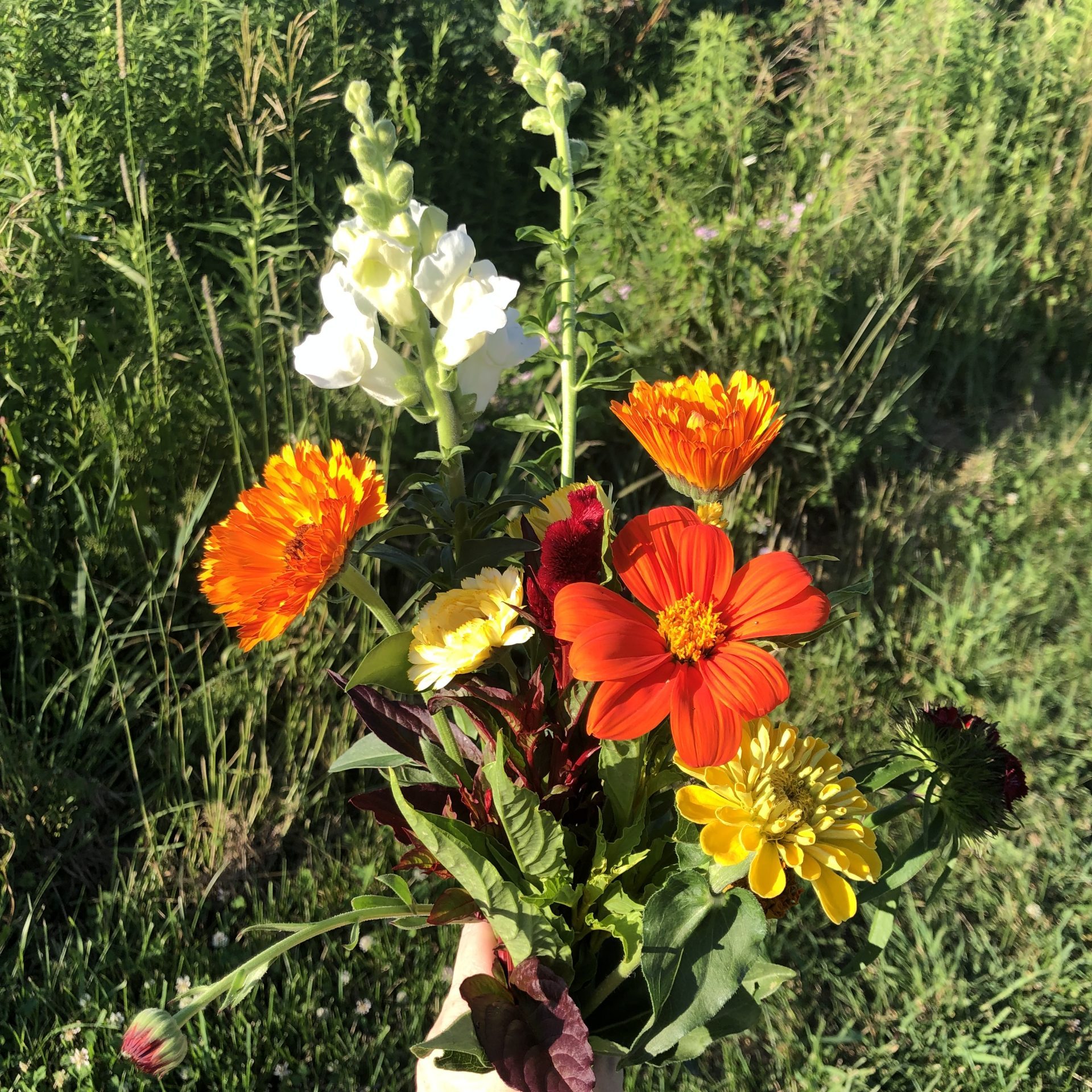 Caroline's flowers